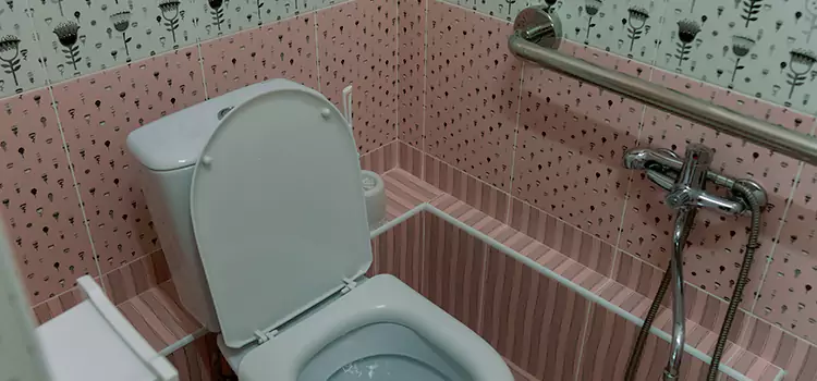 Meeting Diverse Needs With Accessible Restroom Solutions in North Valley Stream, NY