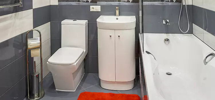 Hansgrohe Shaving Mirror North Valley Stream
