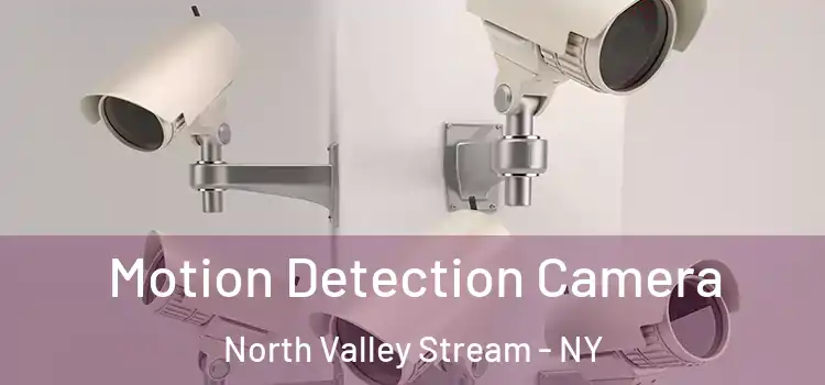  Motion Detection Camera North Valley Stream - NY